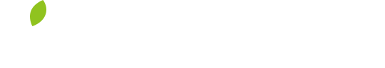 IVY SYSTEM DESIGN アイビーシステムデザイン